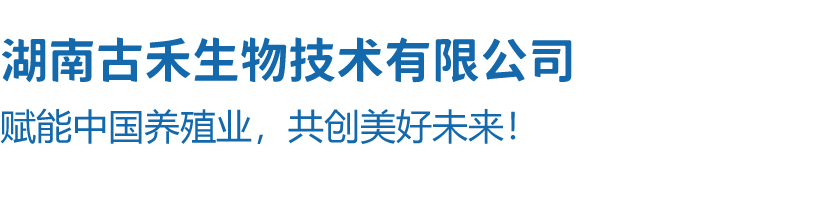公司名称.png