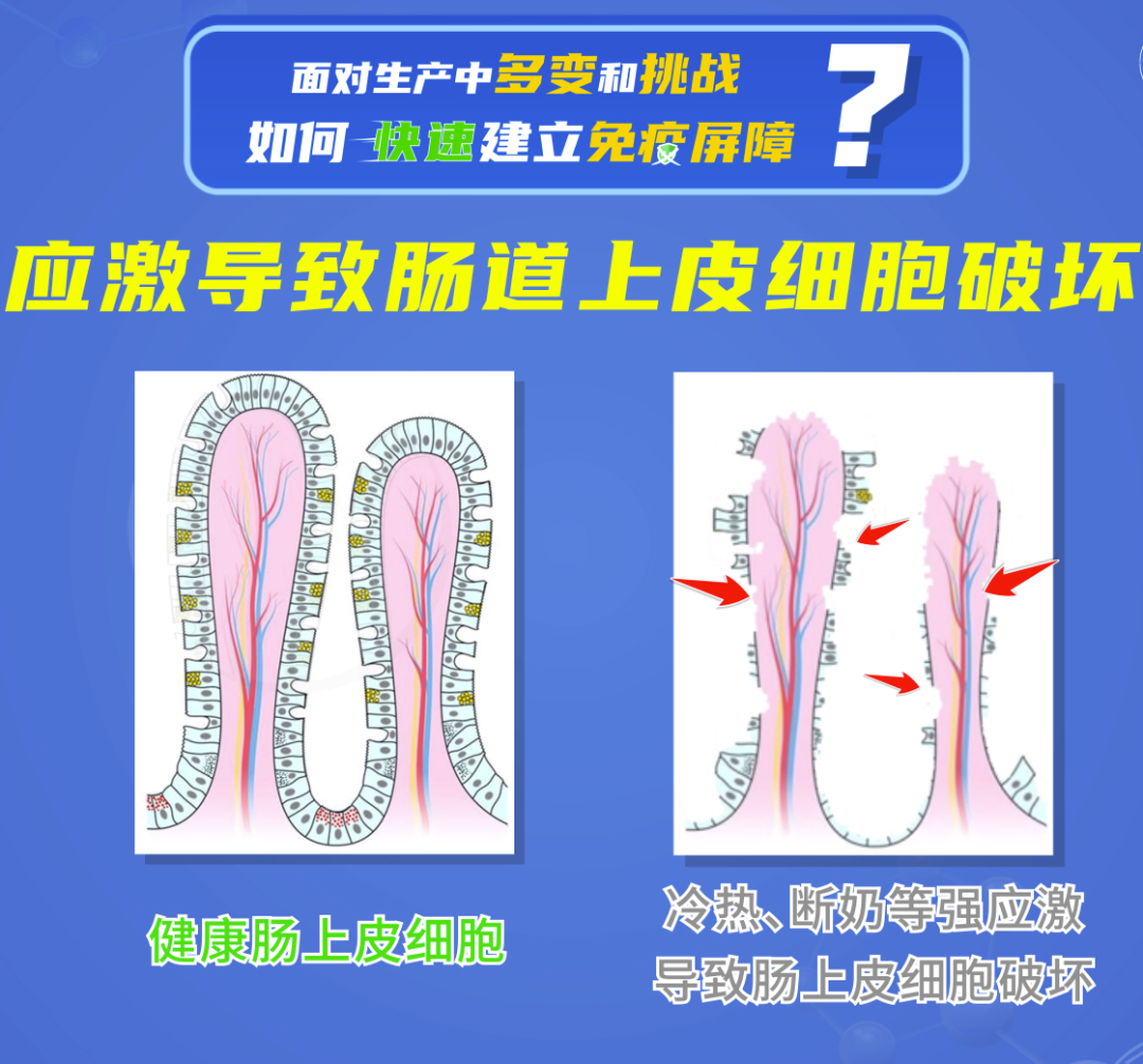 微信图片_20240821100413.png