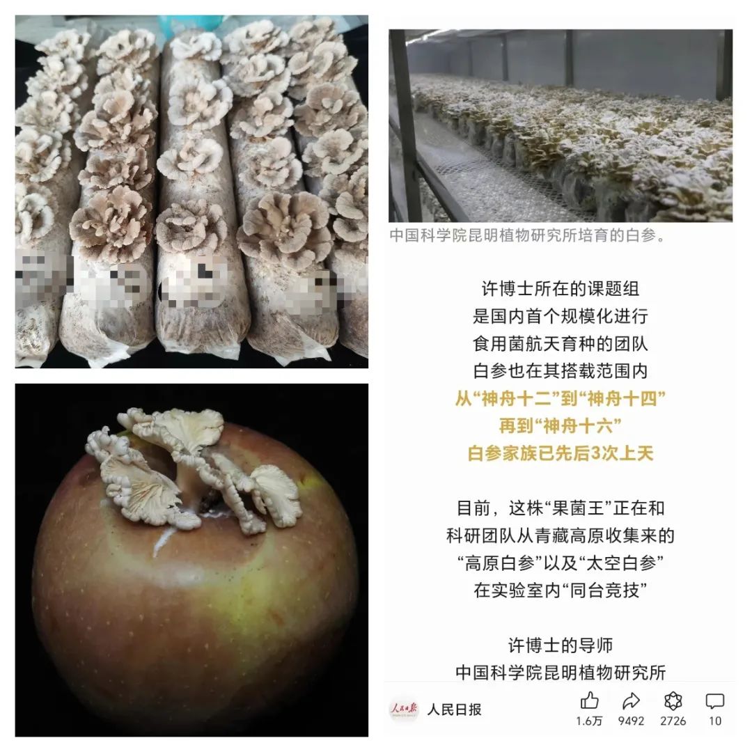微信图片_20240821103123.jpg