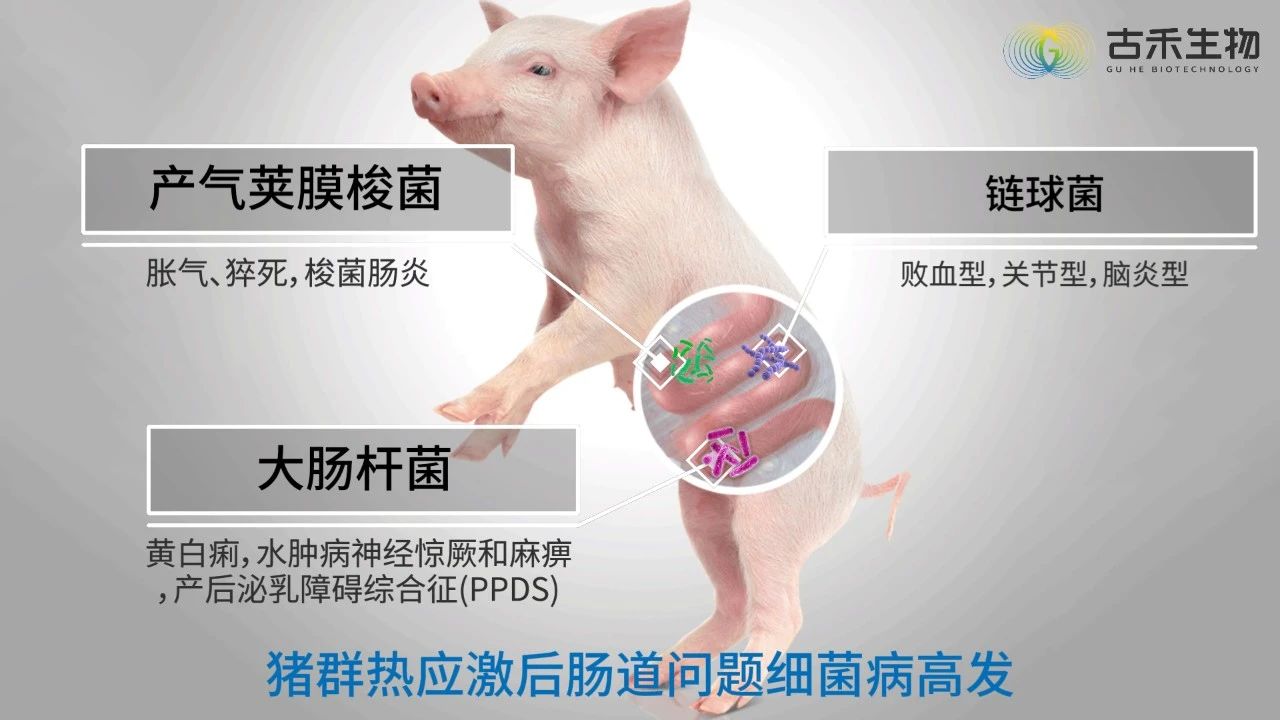 微信图片_20240821150150.jpg