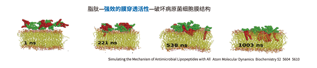 微信图片_20240821151523.png