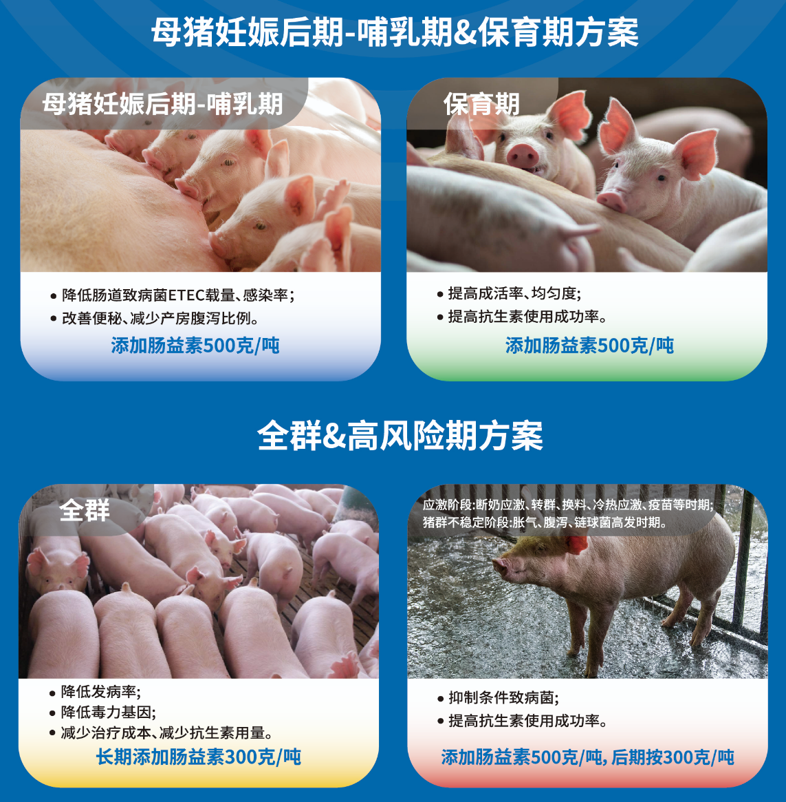 微信图片_20240821151945.png