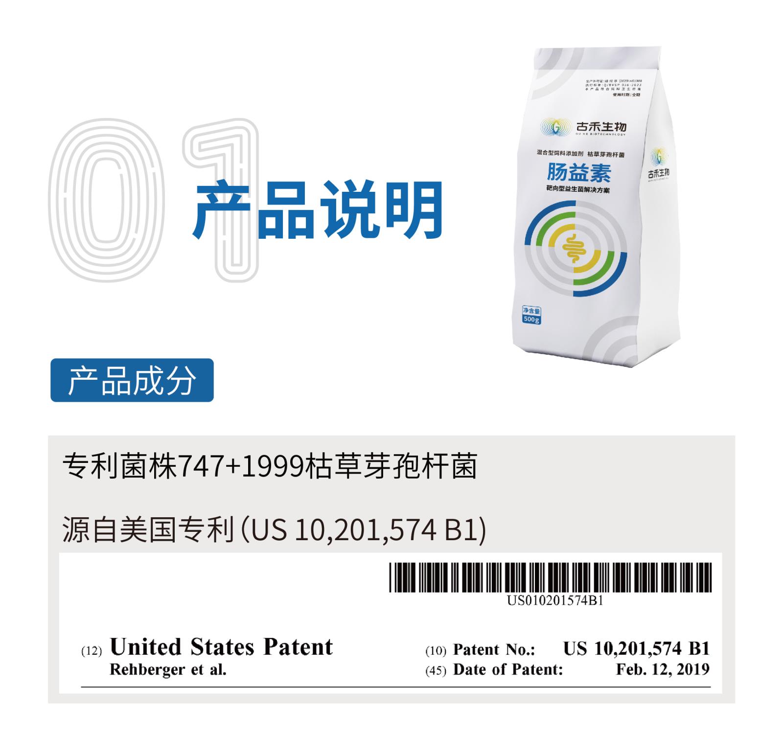 肠益素网站介绍长图_画板-1_画板-1_02.jpg