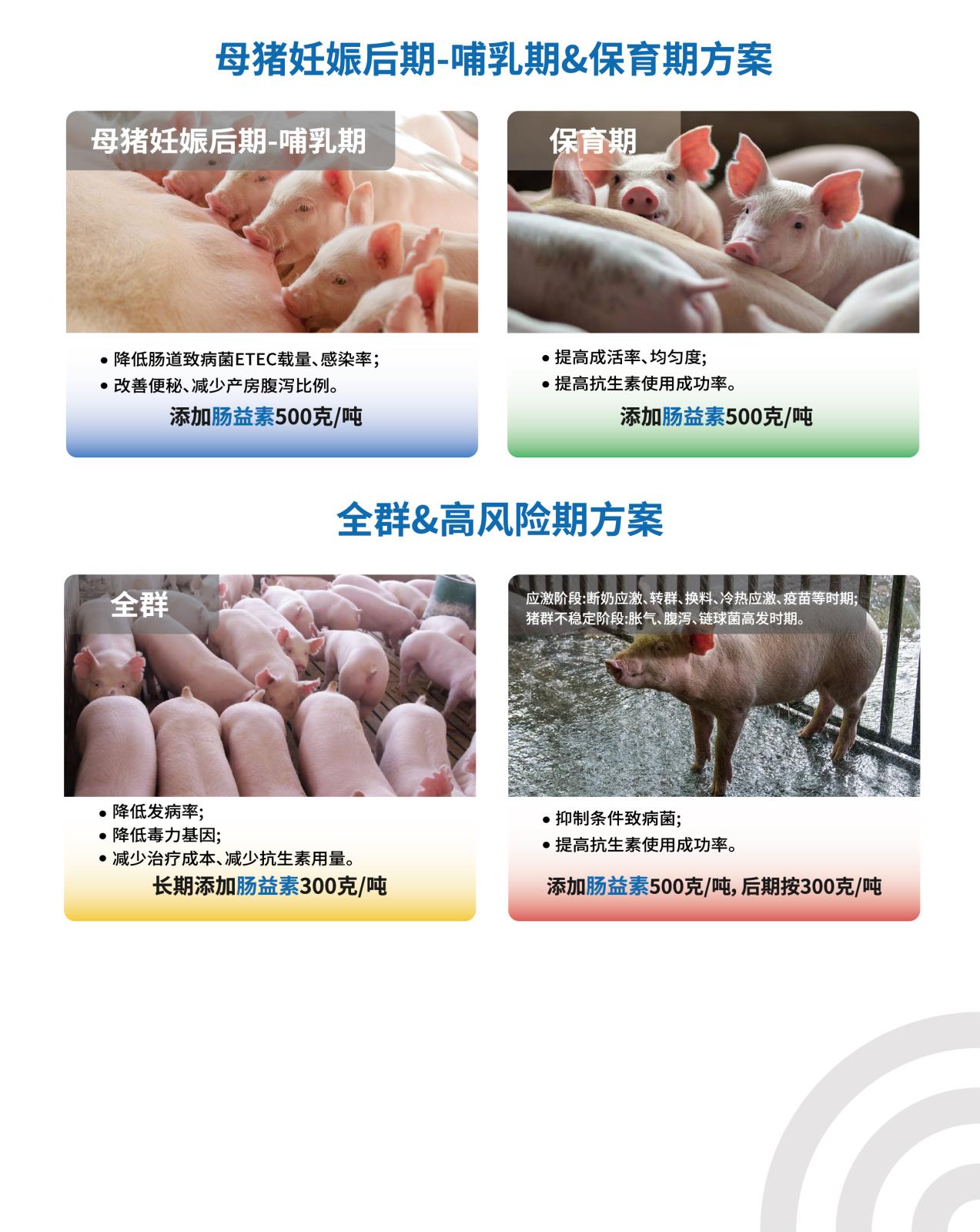 肠益素网站介绍长图_画板-1_画板-1_04.jpg
