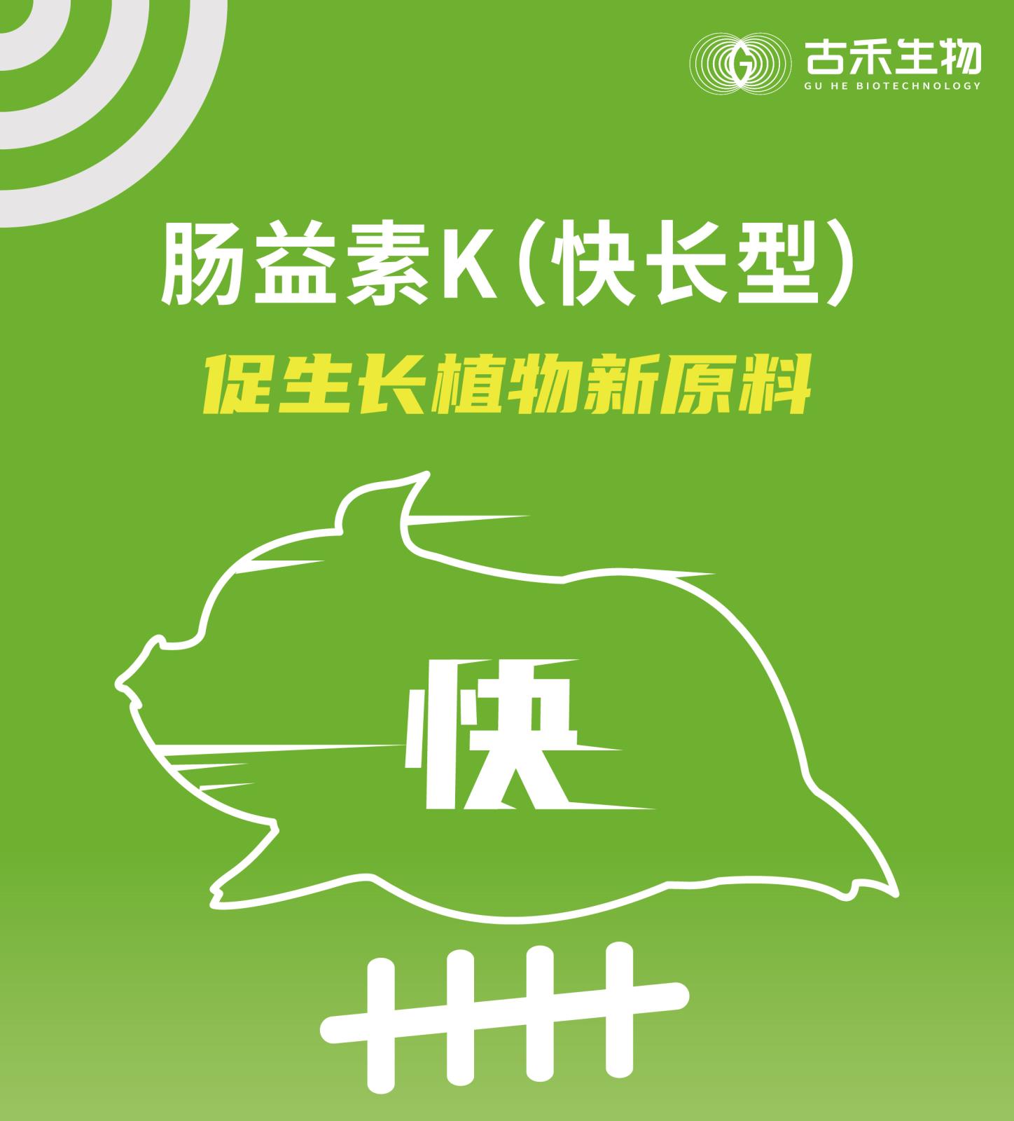 肠益素K网站介绍长图_画板-1_画板-1_01.jpg