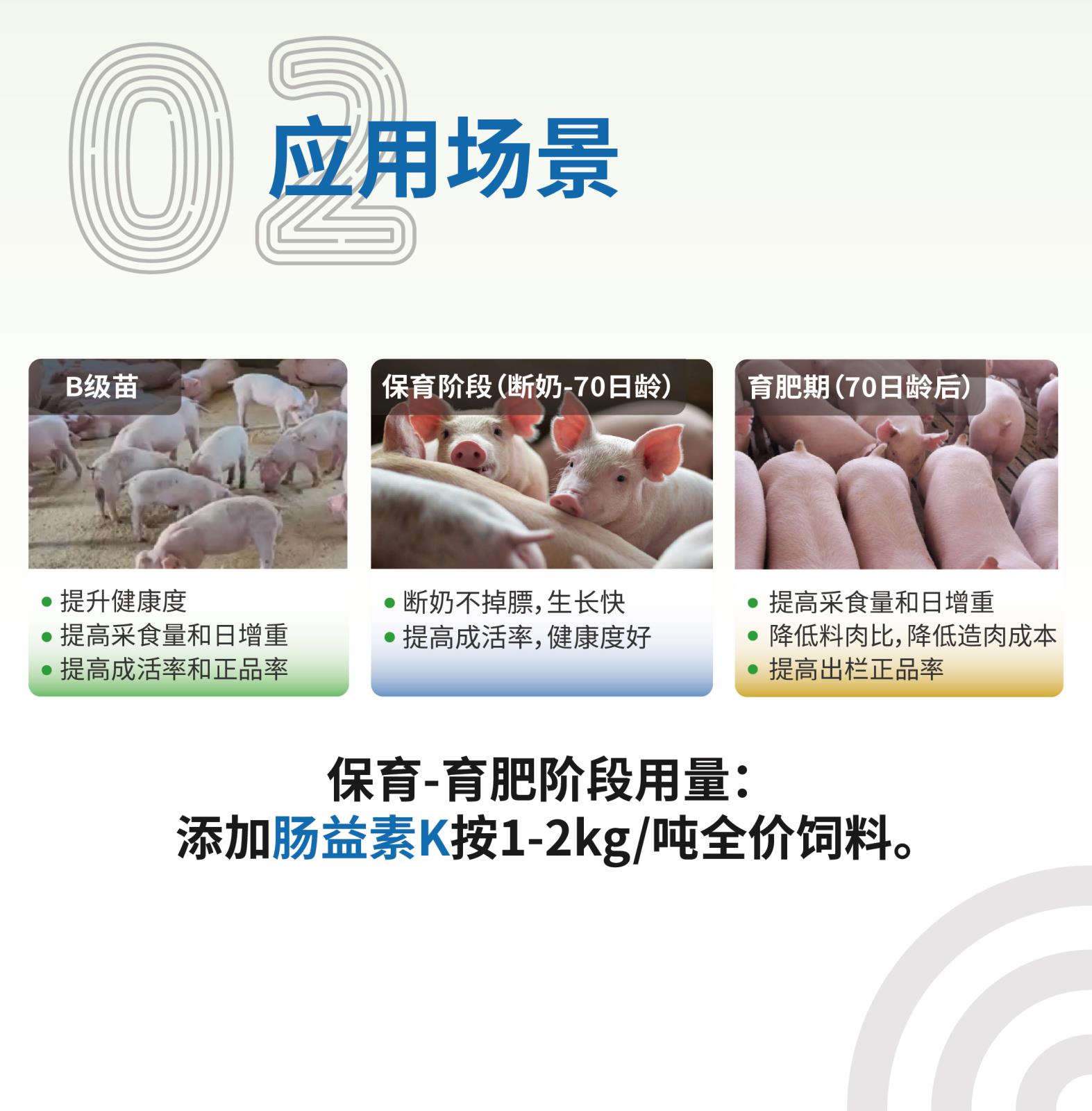 肠益素K网站介绍长图_画板-1_画板-1_03.jpg