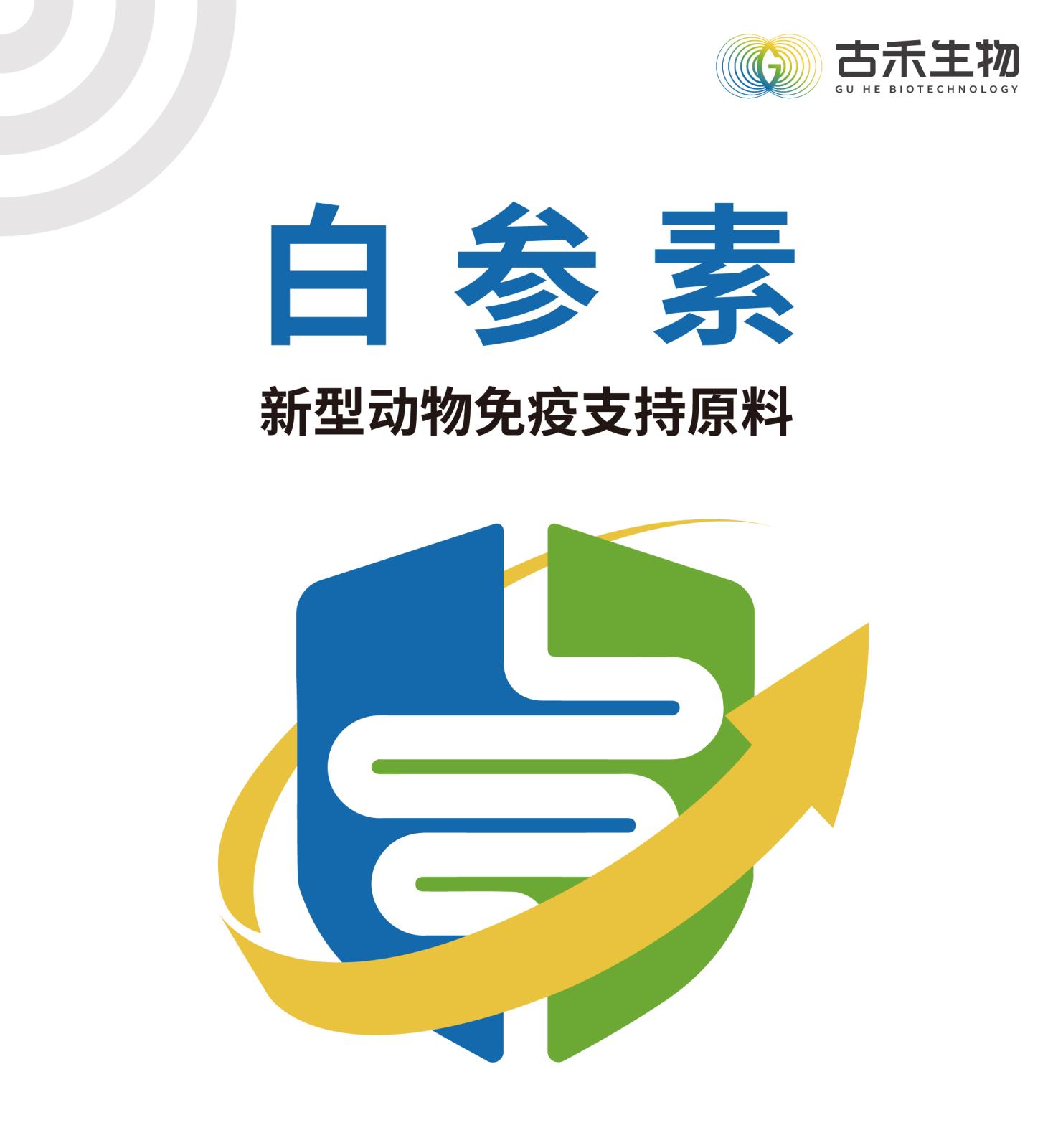 白参素网站介绍长图_画板-1_画板-1_画板-1_画板-1_01.jpg