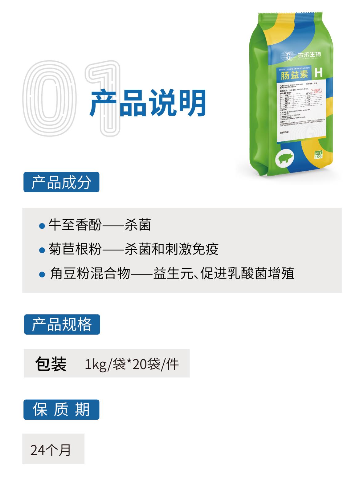 肠益素H网站介绍长图_画板-1_画板-1_02.jpg