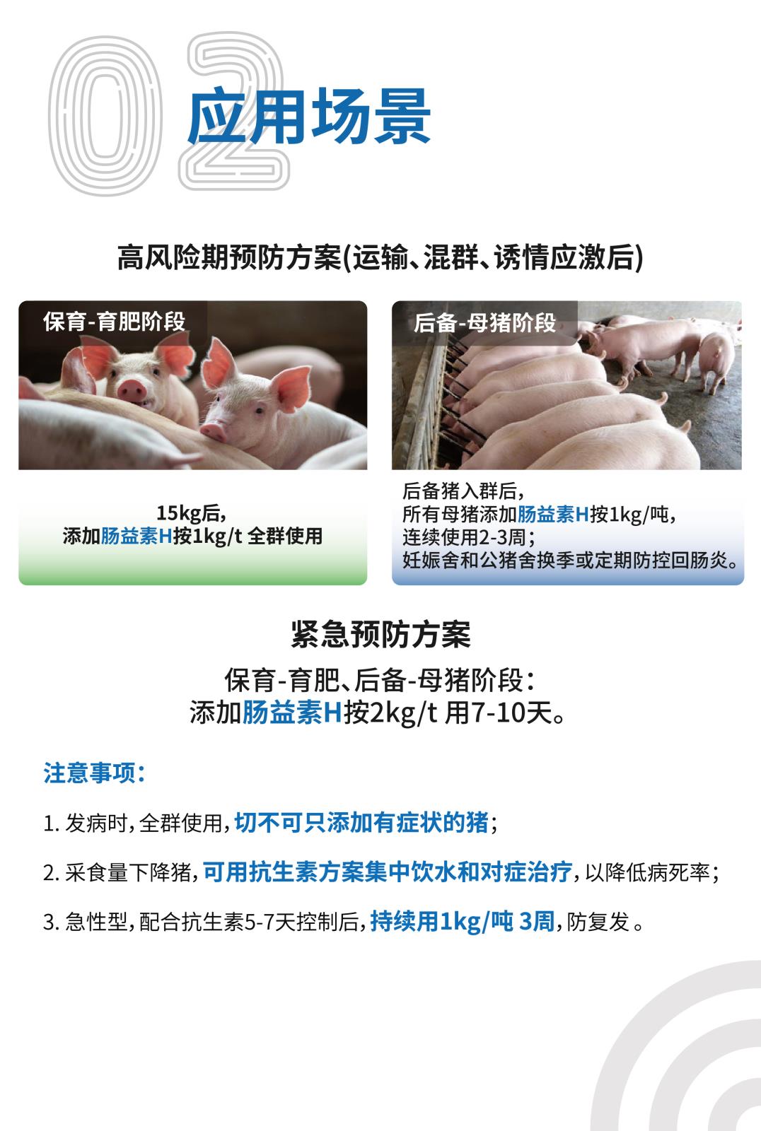 肠益素H网站介绍长图_画板-1_画板-1_03.jpg