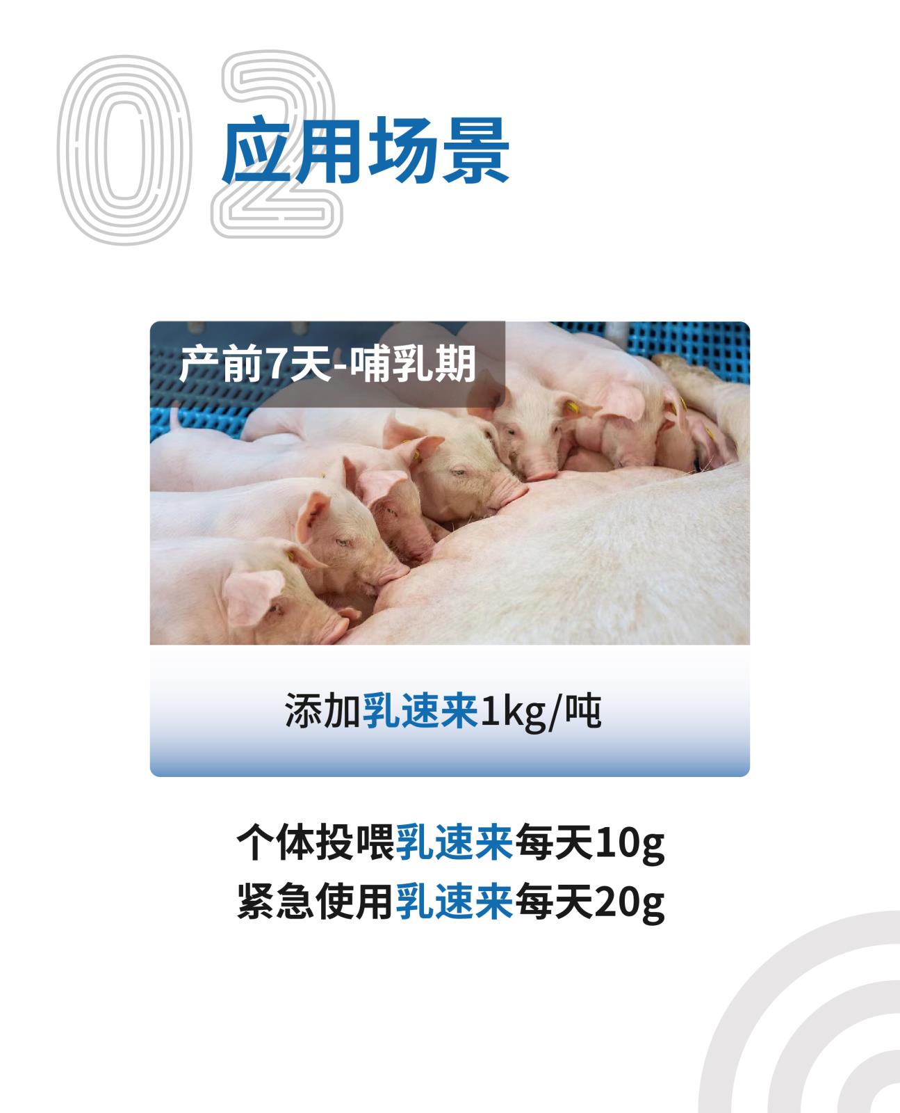 乳速来网站介绍长图_画板-1_03.jpg