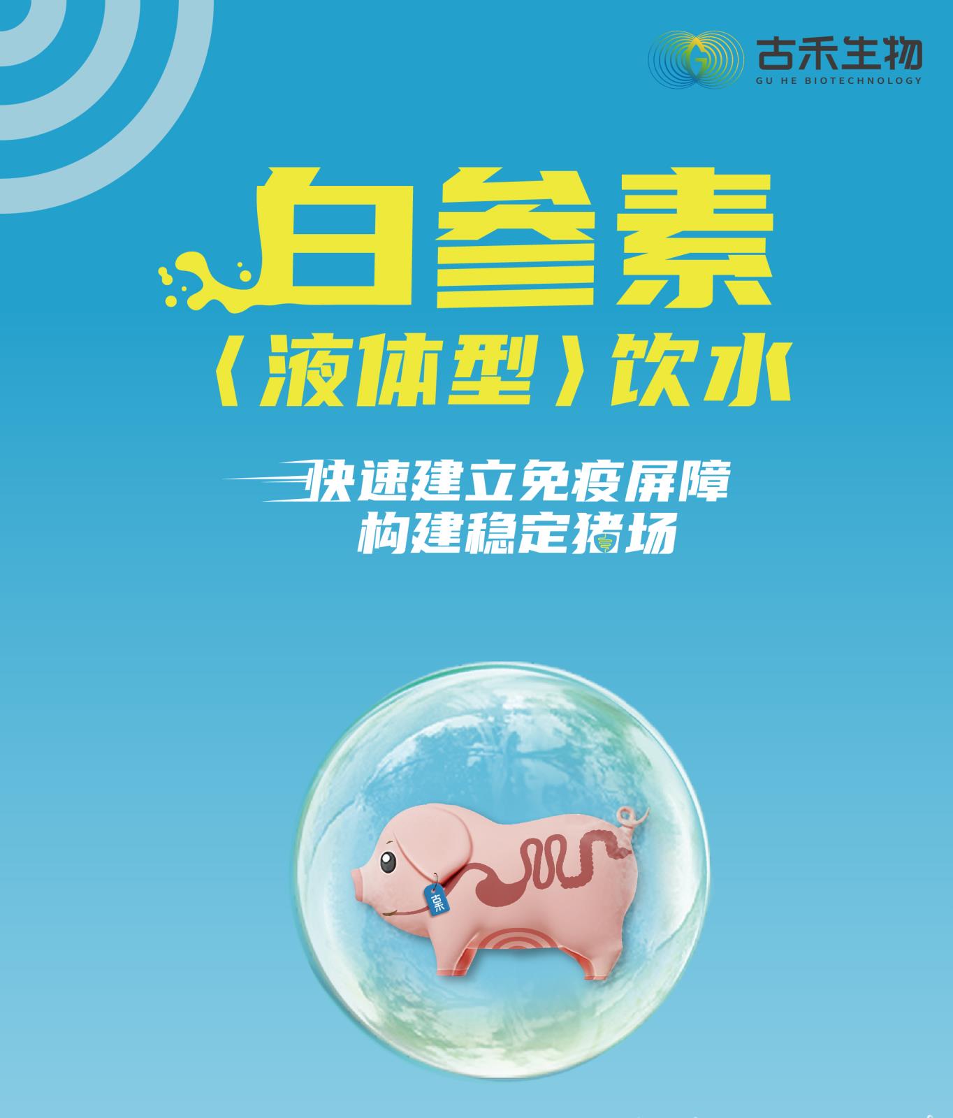白参素液体型网站介绍长图_画板-1_画板-1_01.jpg