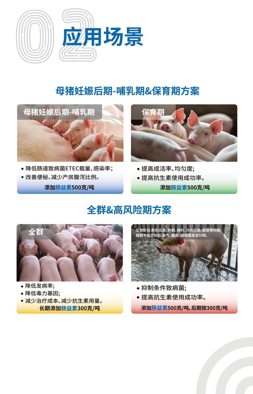 肠益素网站介绍长图25kg_画板-1-副本_03.jpg