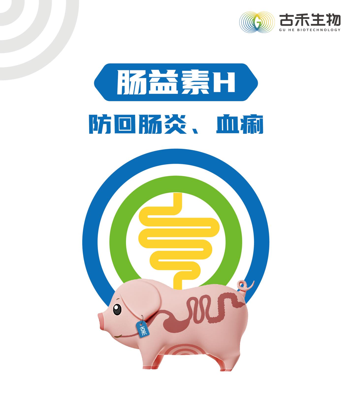 肠益素H网站介绍长图25kg_画板-1-副本_01.jpg