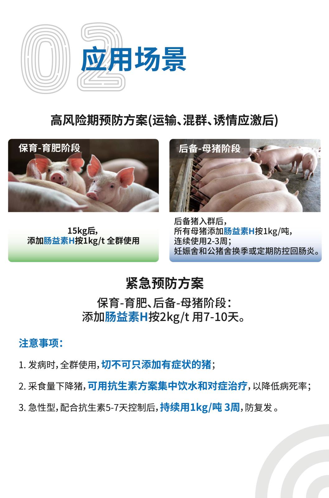 肠益素H网站介绍长图25kg_画板-1-副本_03.jpg
