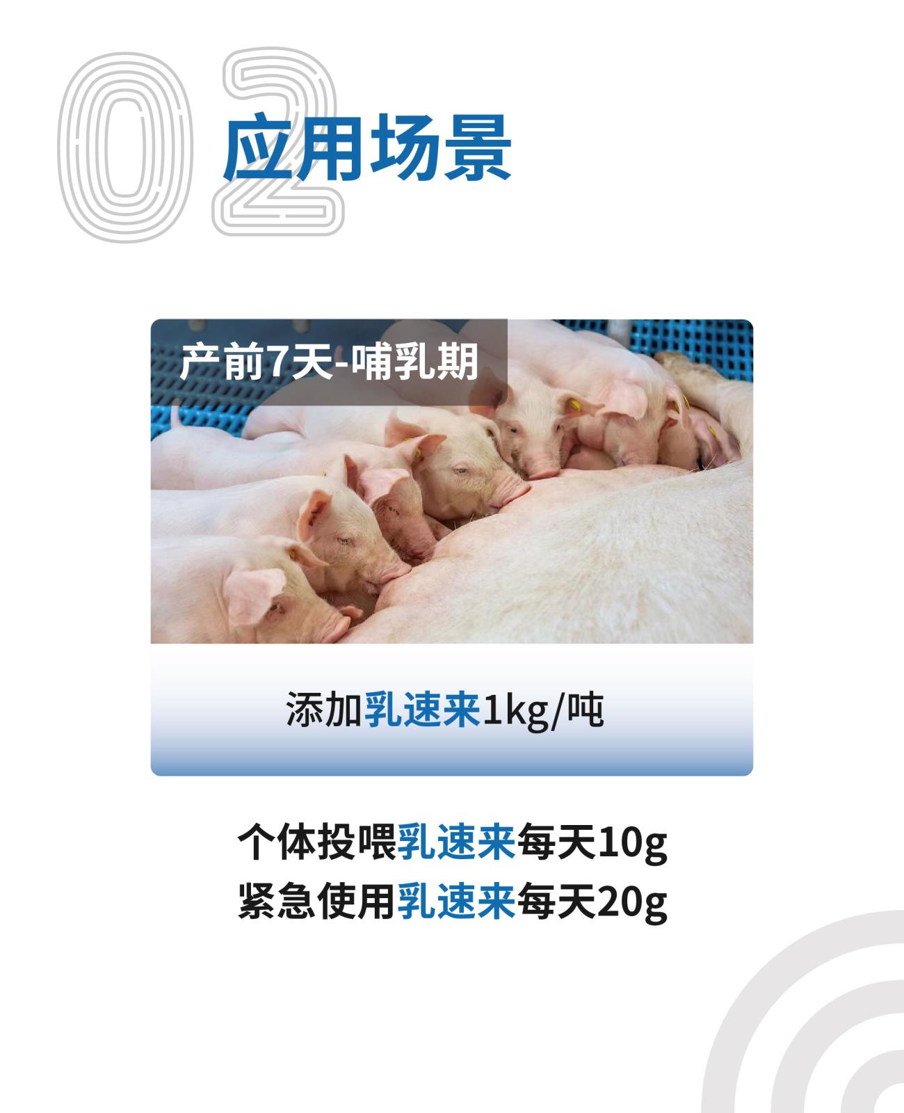 乳速来网站介绍长图25kg_画板-1-副本_03.jpg