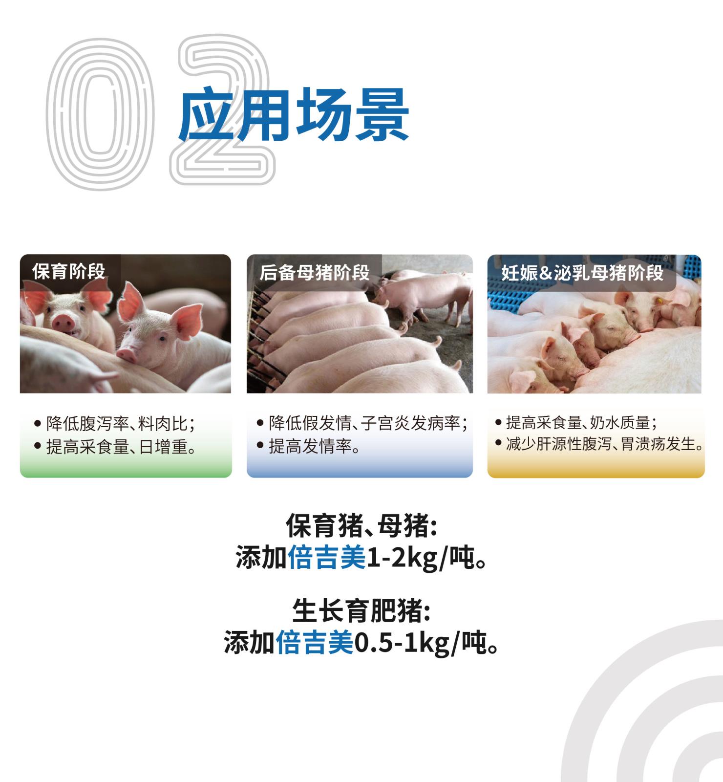 倍吉美网站介绍长图-[25kg]_画板-1-副本_03.jpg